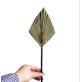 Dried Palm Leaf | Dried Flower For Florists